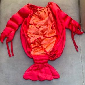 Halloween 🎃 Lobster 🦞 costume size to 25 lbs.  lobster claws tie onto arms.